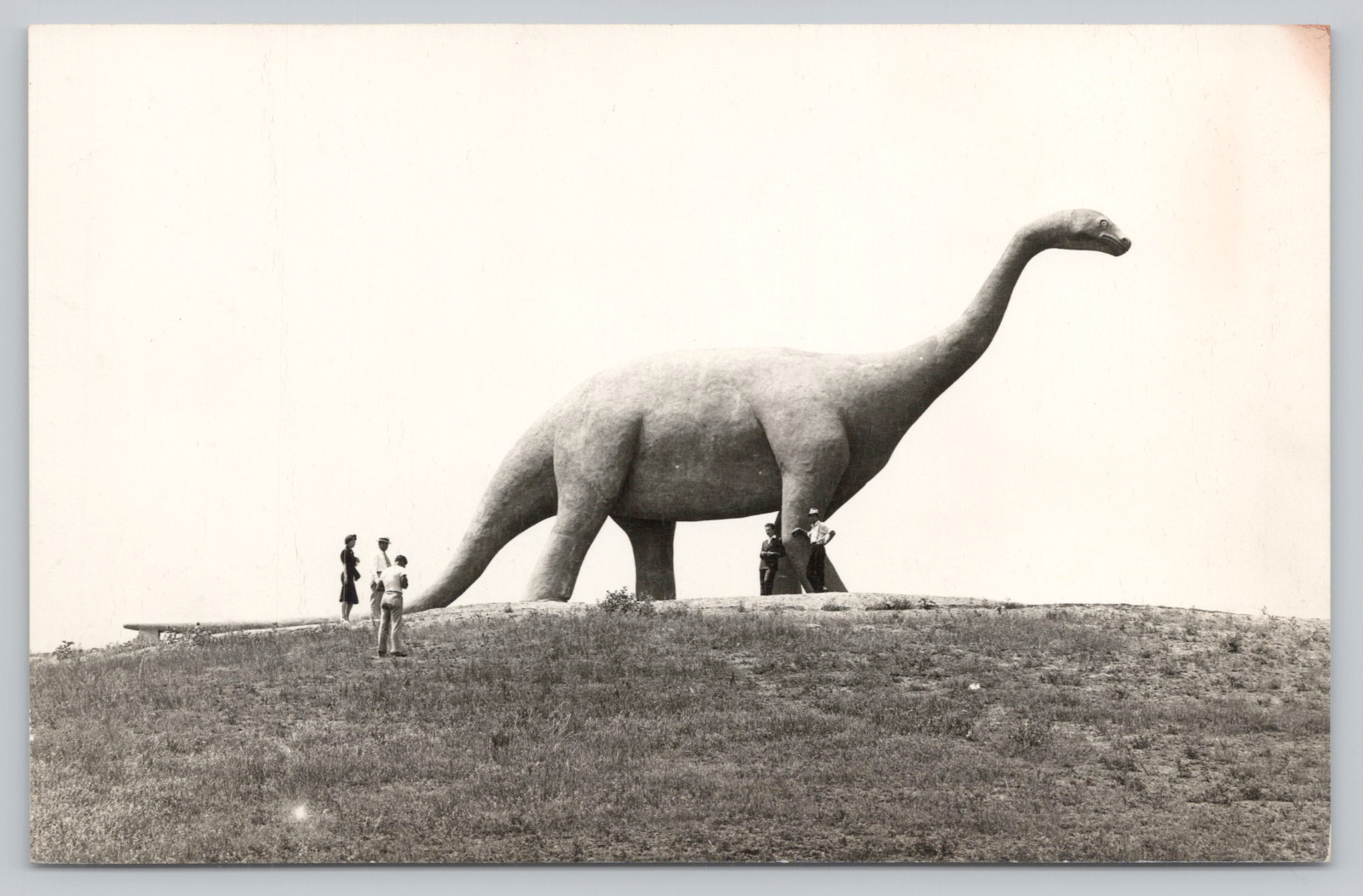 Postcard RPPC Rapid City SD Dinosaur Park Brontosaurus
