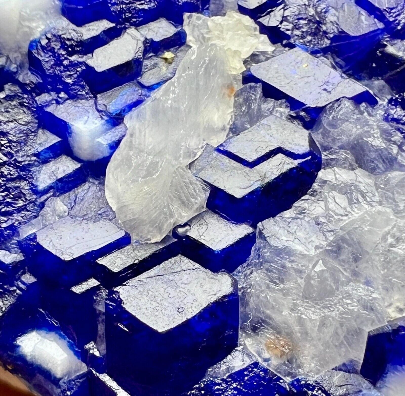 726 Gram Highest Quality Top Blue Hauyne Stepped Crystals On Matrix From Afghan