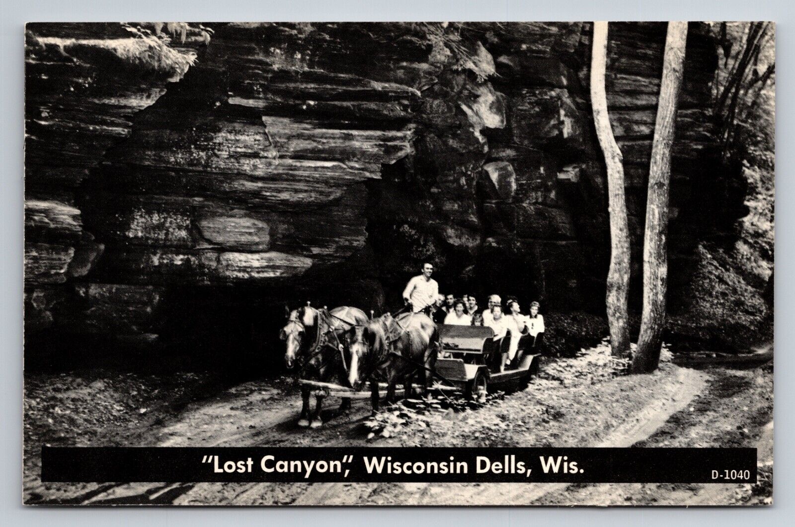 Lost Canyon Wisconsin Dells Vintage Unposted Postcard Horse Carriage Tour