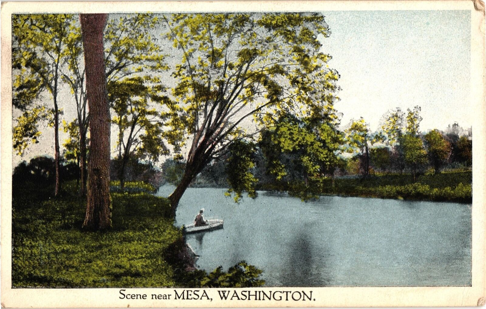 1917 Mesa Washington Scenery Antique Postcard Posted One Cent Stamp
