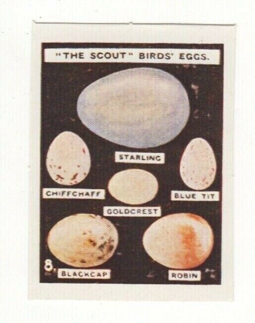Jacobs Biscuits Birds Eggs