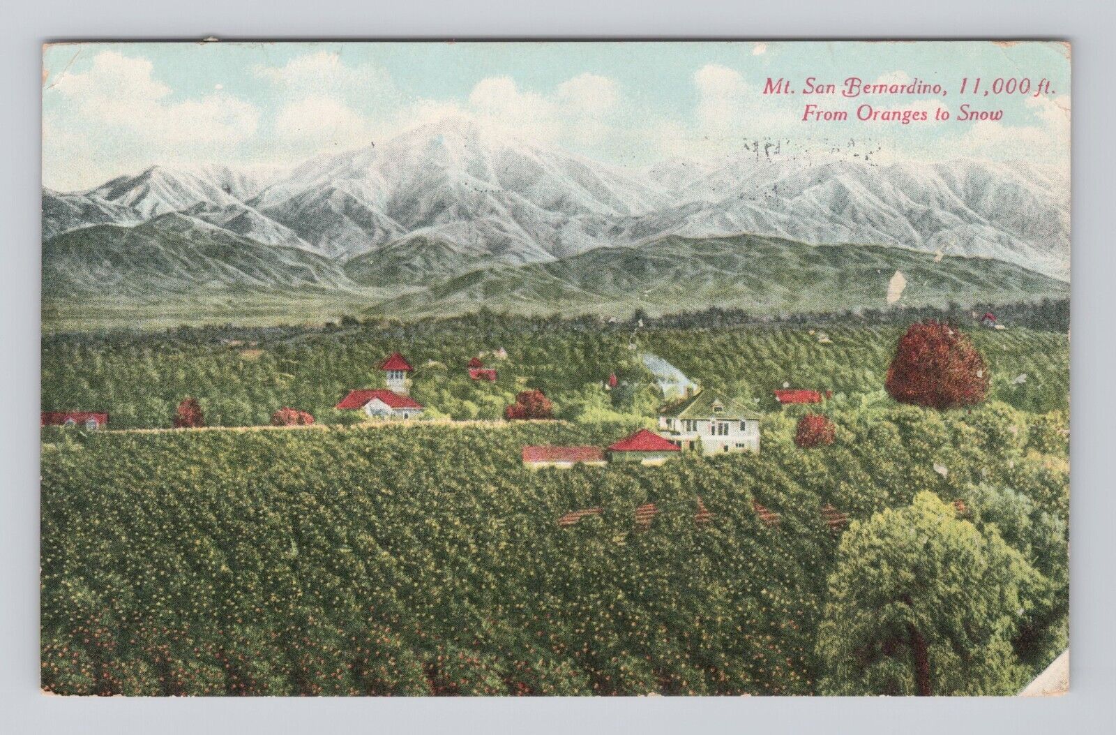 Postcard Mt San Bernardino California 11,000 ft From Oranges to Snow posted