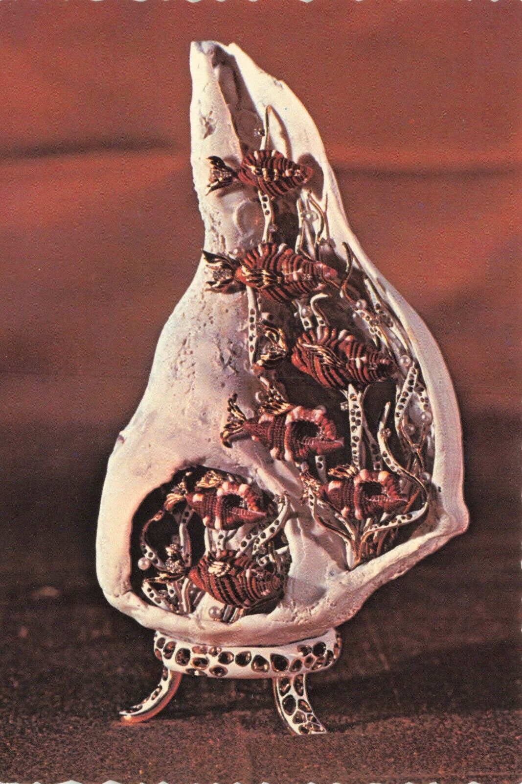 Postcard Headley Jewel Museum Sea Shell mounted with fish of cymatium & diamonds