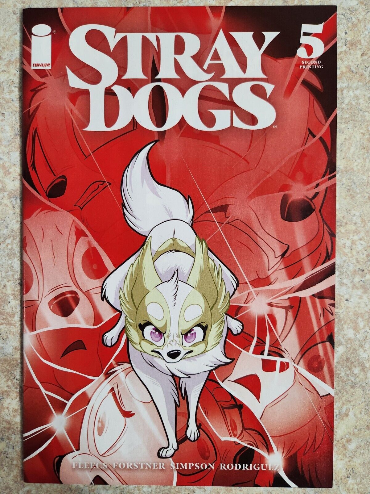 Stray Dogs #5 2nd Print Image Comics 2021 