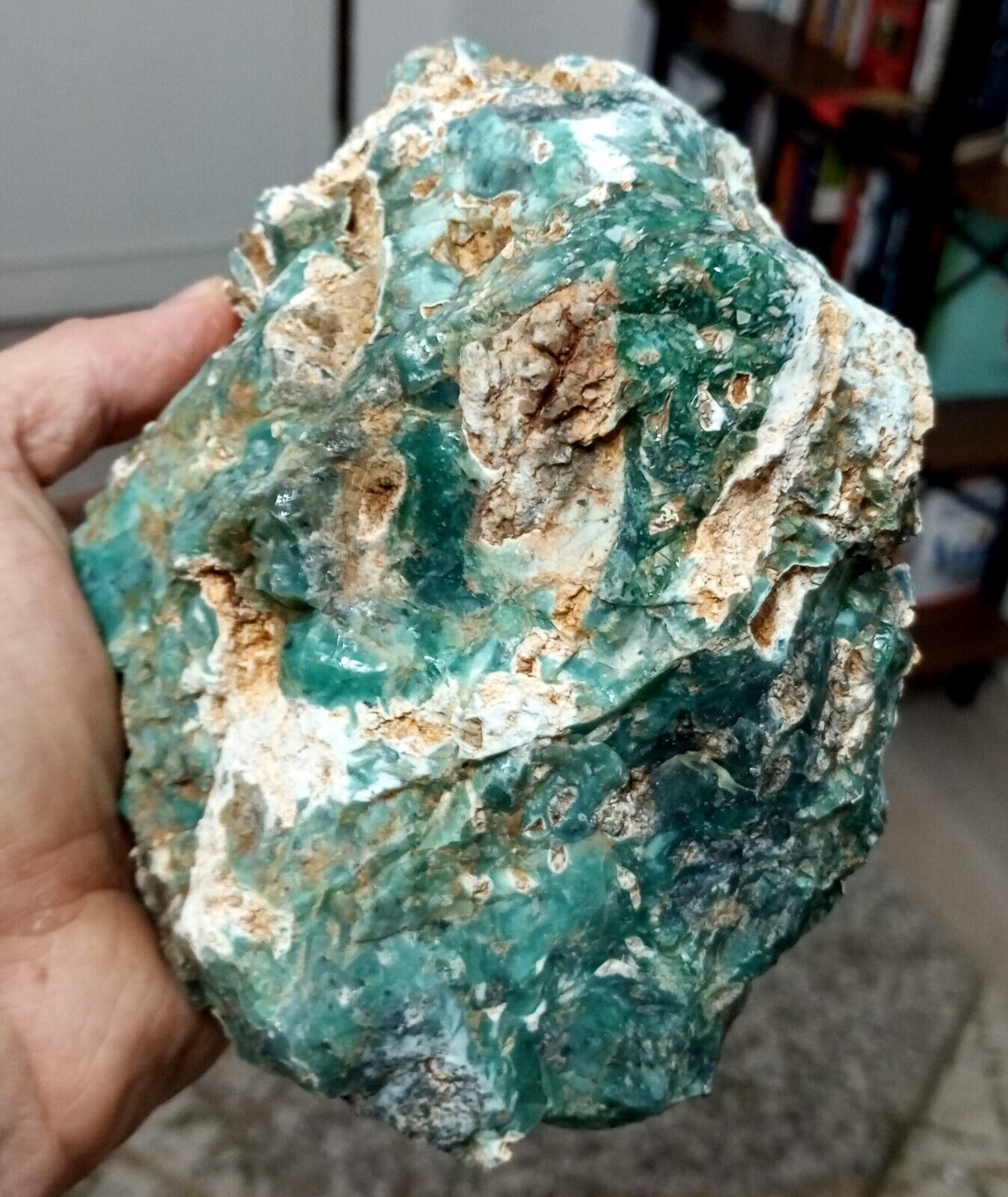Impresive Color Rare Big Chrysopal Rough, Nickel Opal