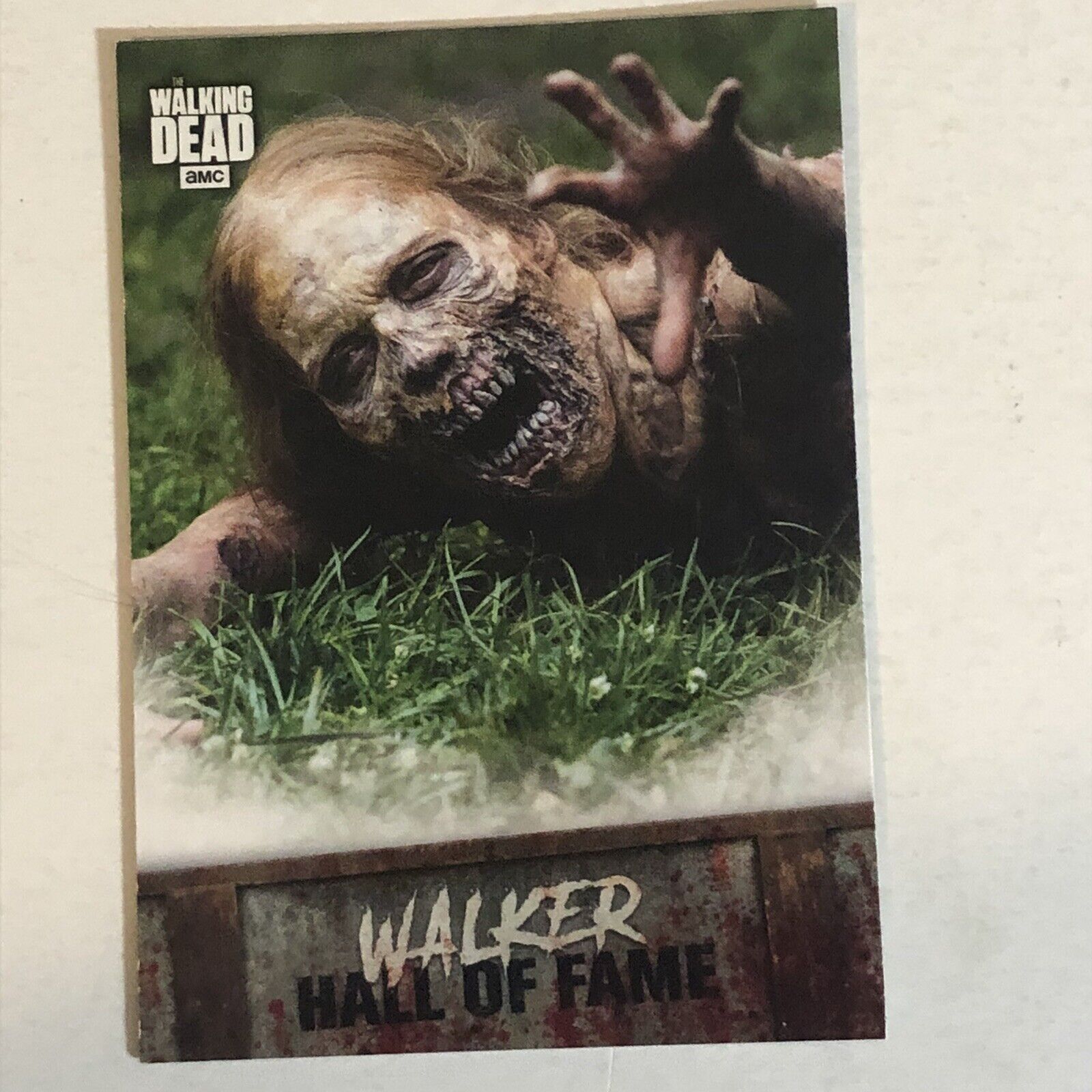 Walking Dead Trading Card #W1 Walker