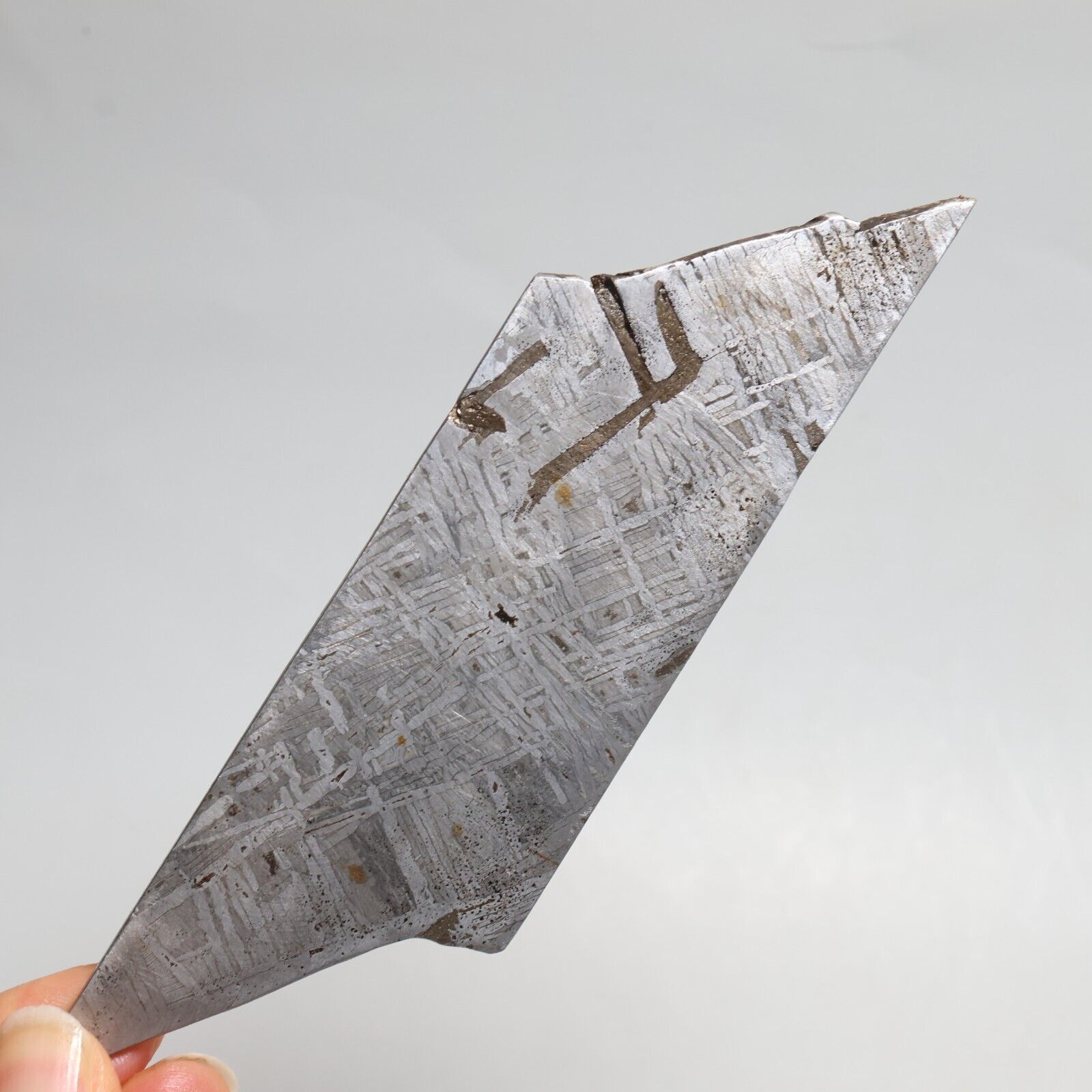 82g Muonionalusta Meteorite ,  Naturally Iron Meteorite slice, Collection F234