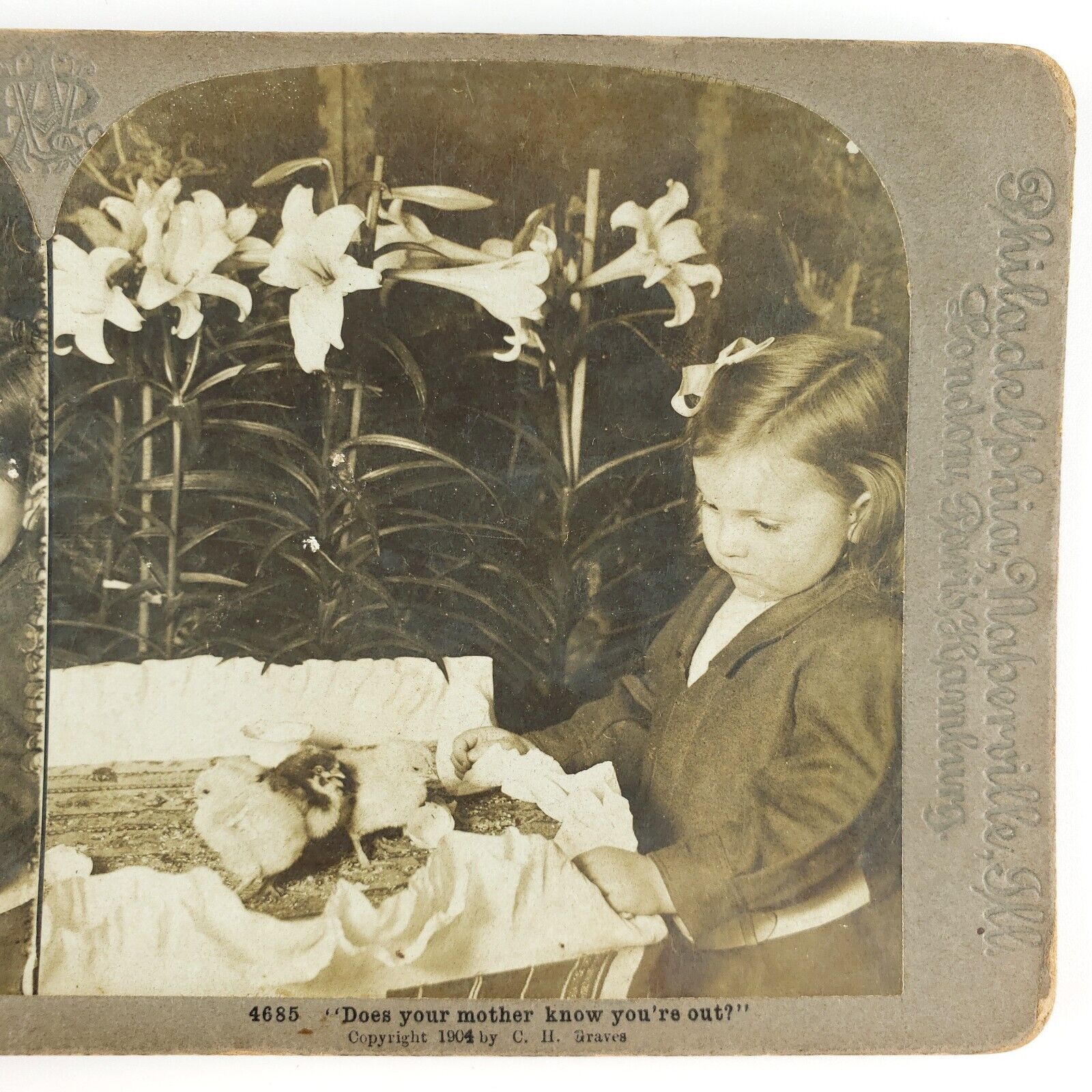 Baby Chicks Easter Lilies Stereoview c1904 Lily Flowers Child Chickens Kid A1830