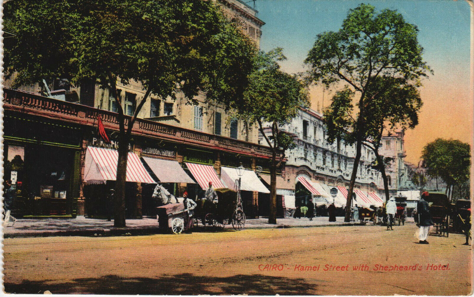 PC EGYPT, CAIRO, CAMEL STREET, SHEPHEARD\'S HOTEL, Vintage Postcard (B40484)