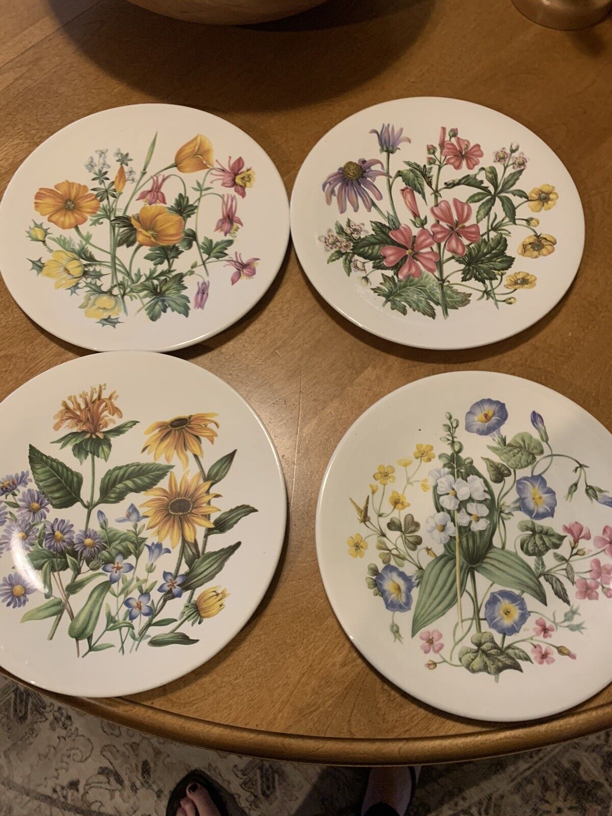 Wedgwood Wildflowers of the United States Collectors Plates (4) for Avon 9”
