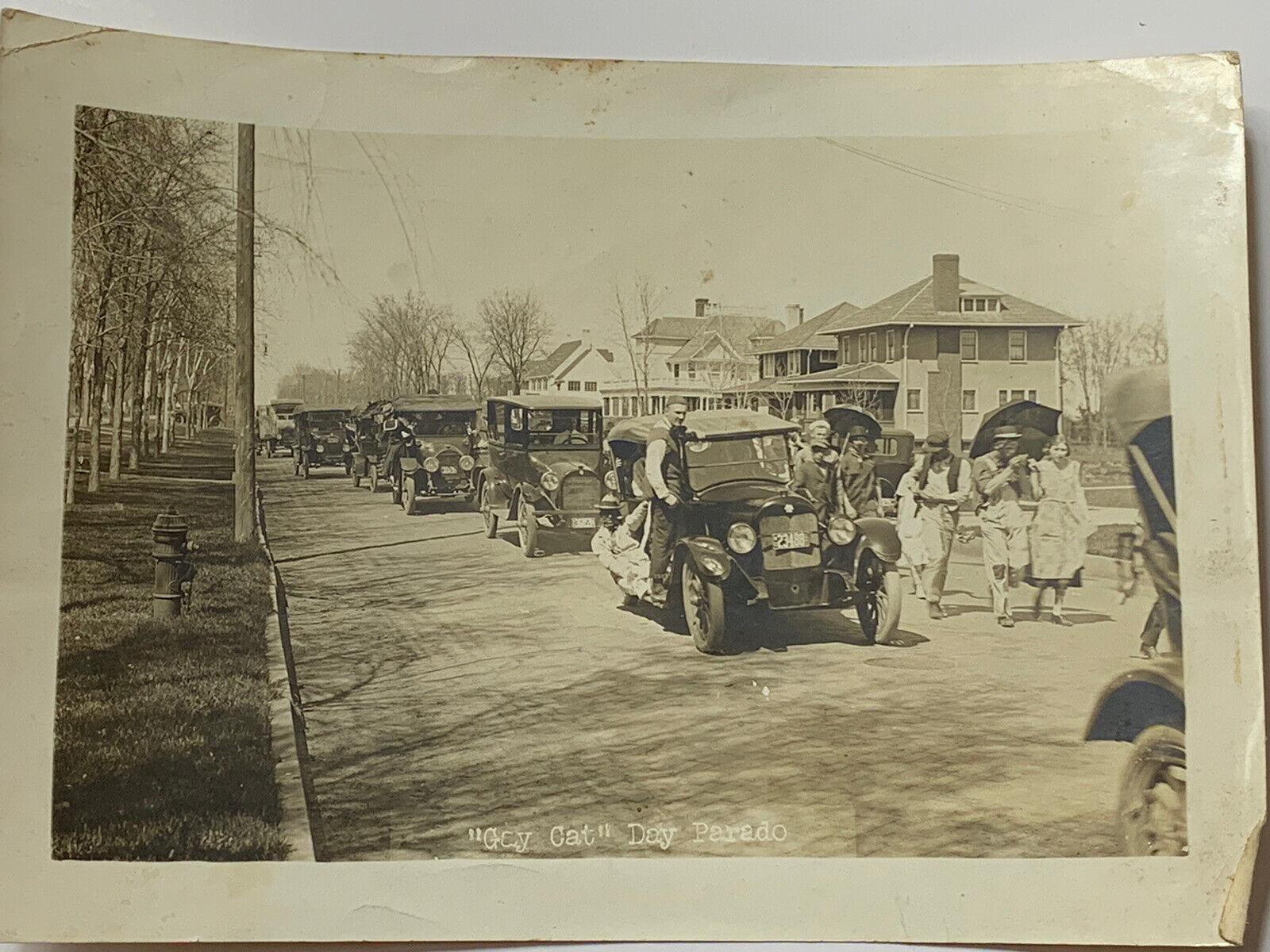 Antique Photo Gay Cat Day Fargo Locals & Their  1920s Cars Period Clothing House