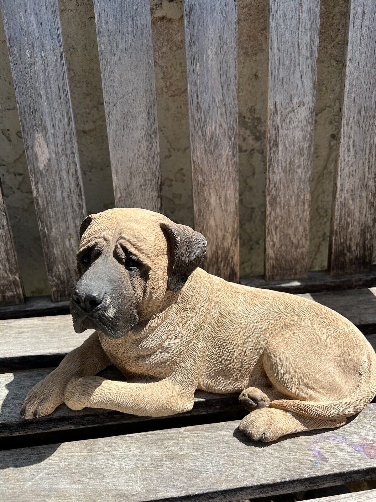 Sandicast Dog Statue - Large Bull Mastiff Fawn - Sandra Brue Usa 11”