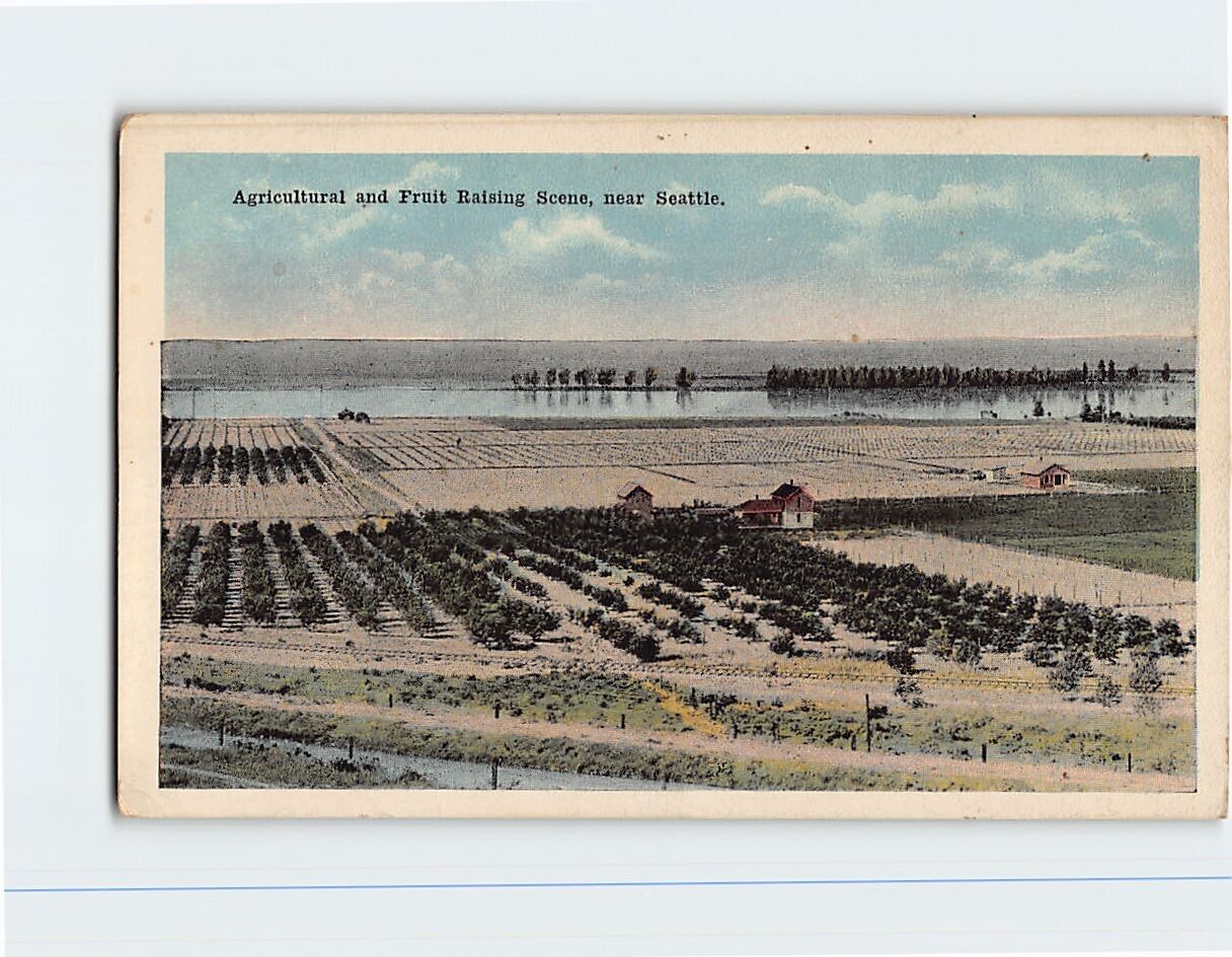 Postcard Agricultural and Fruit Raising Scene Washington