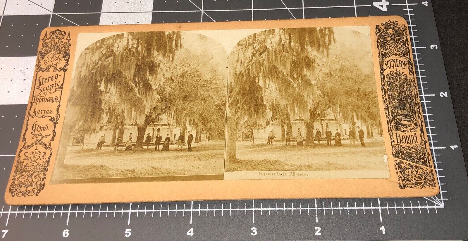 1880s Spanish Moss Early HOUSE Florida FL Antique Stereoview PHOTO
