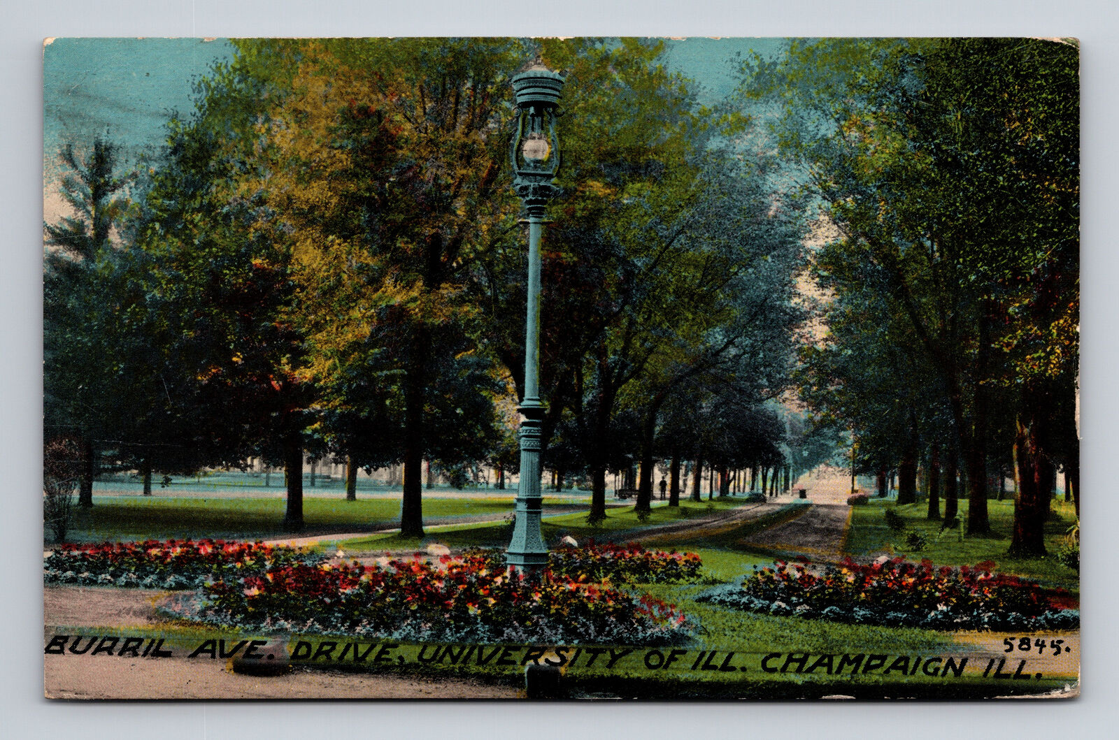 c1911 DB Postcard Champaign IL University Illiniois Burril Drive Park