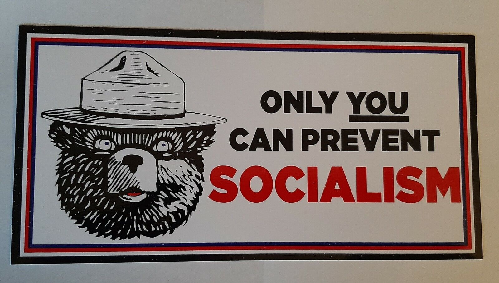 ONLY YOU CAN PREVENT SOCIALISM BUMPER STICKER