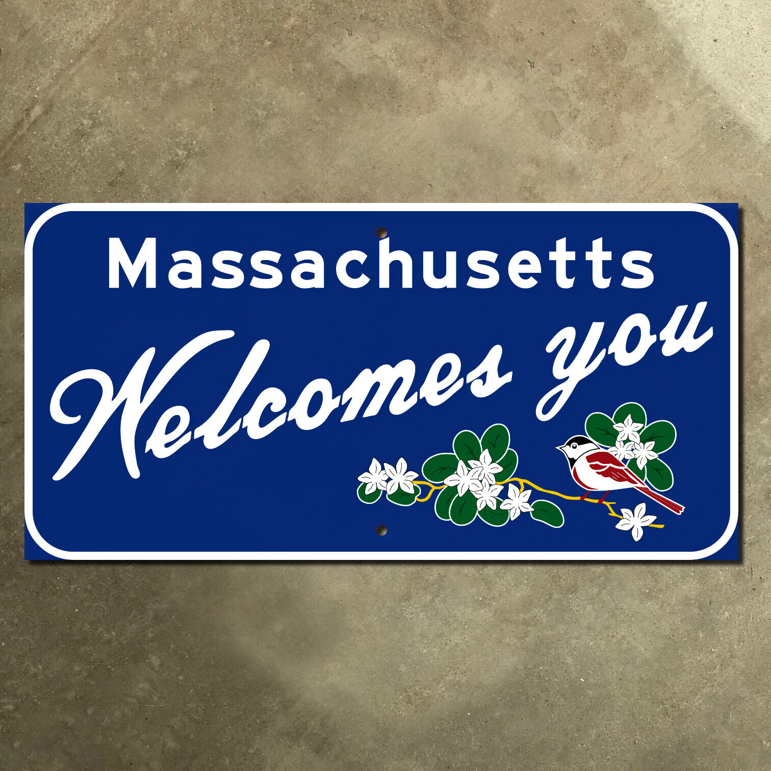 Massachusetts welcomes you road sign state line highway chickadee flower 16x8