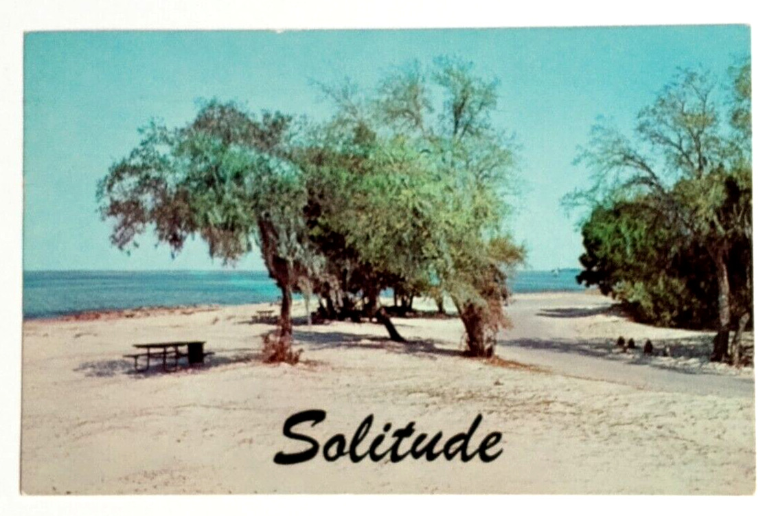 Fort Clinch State Park Fernandina Beach Solitude Florida FL Dexter Postcard 1960