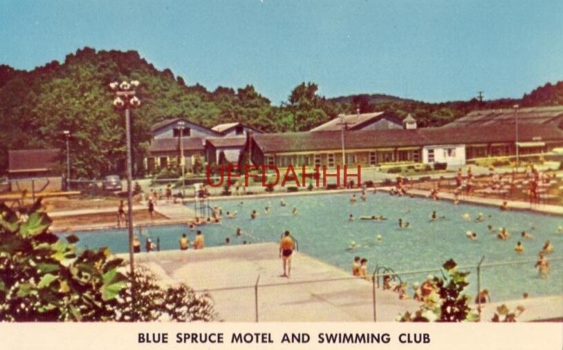 BLUE SPRUCE MOTEL AND SWIMMING CLUB, on Route 22, MURRAYSVILLE, PA.