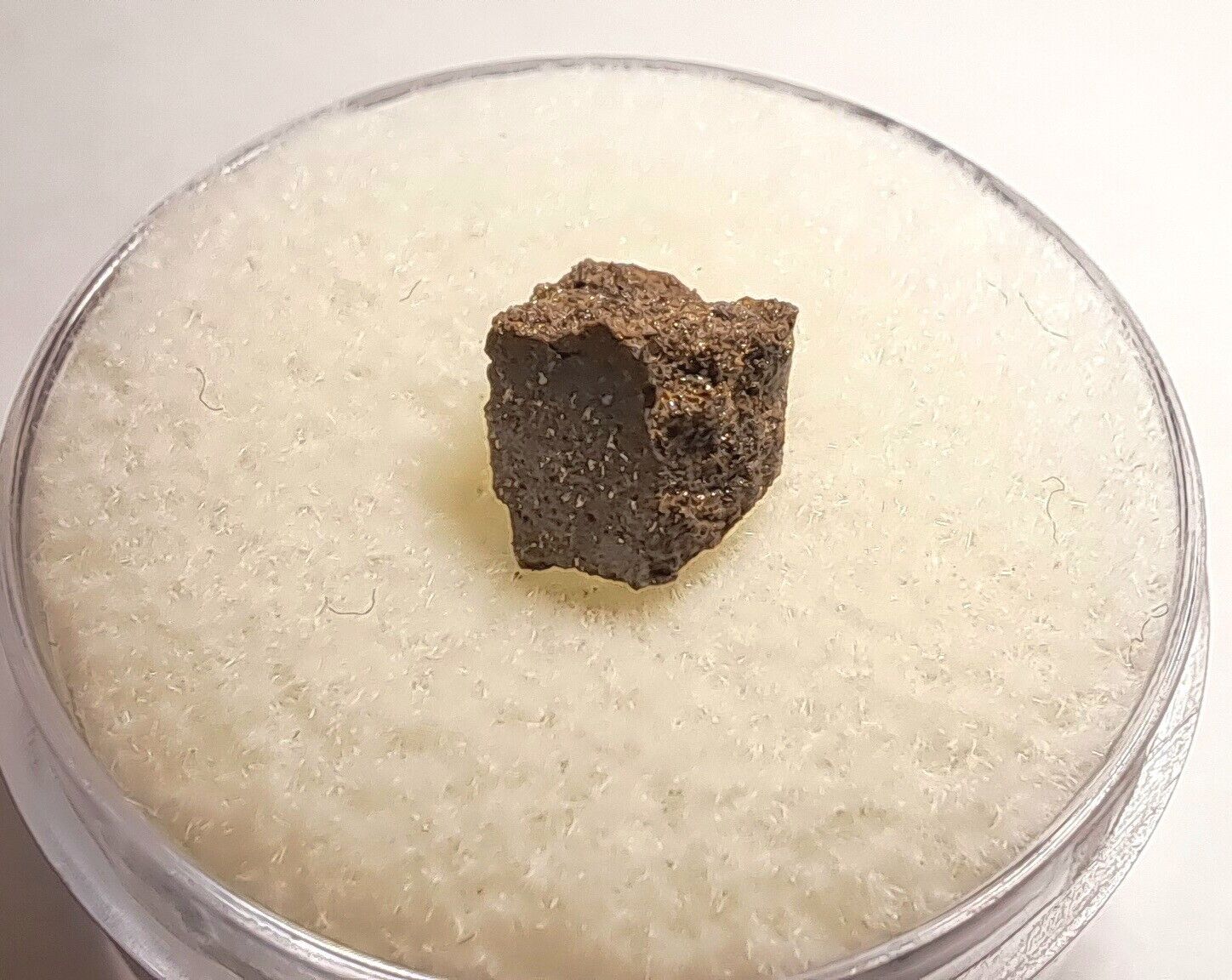 Big Rock Donga Meteorite - H6 Chondrite - 1970 Australia Find. 0.481 grams