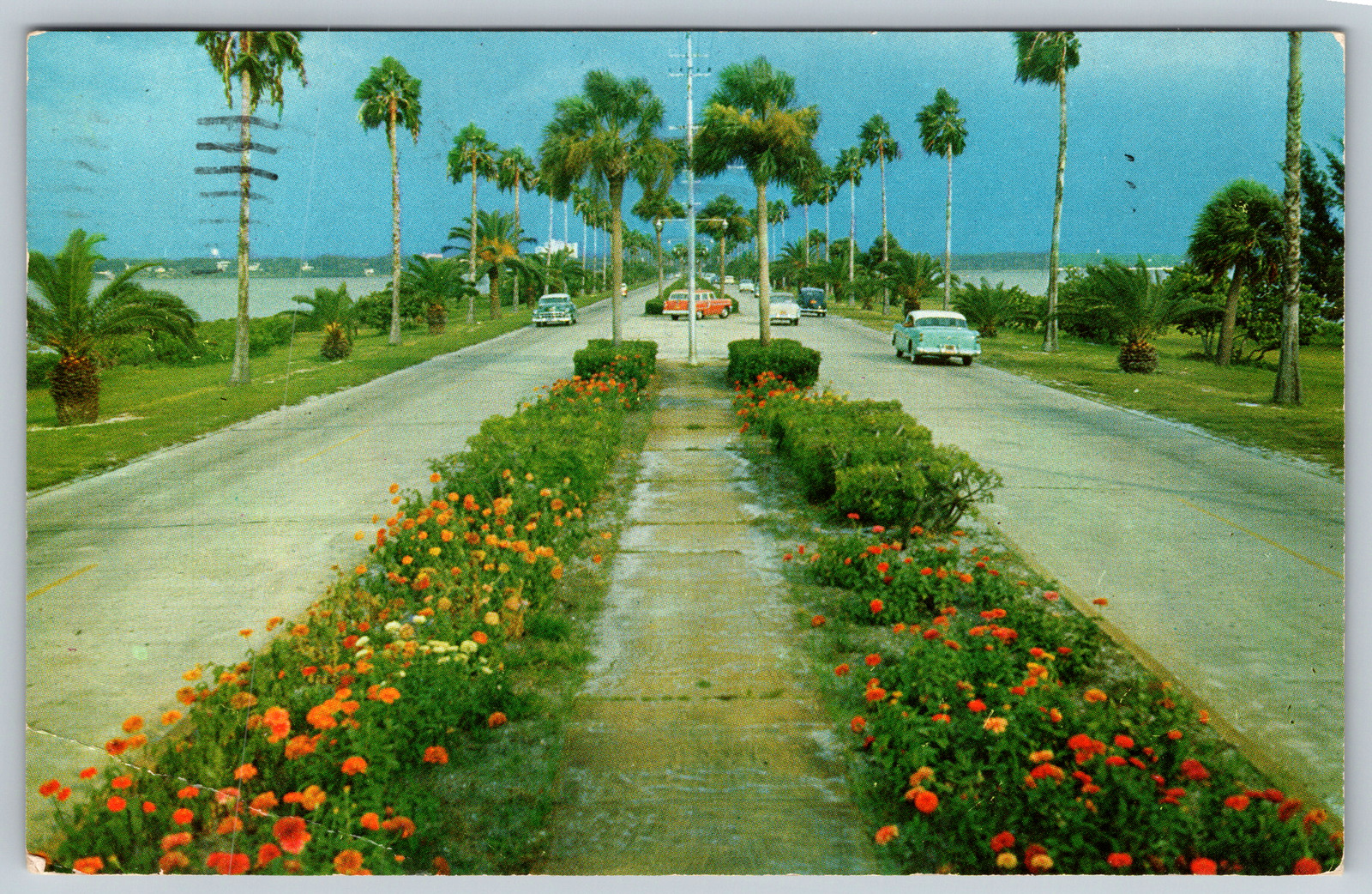 c1960s Flowerlined Causeway Clearwater Florida Beach Vintage Postcard