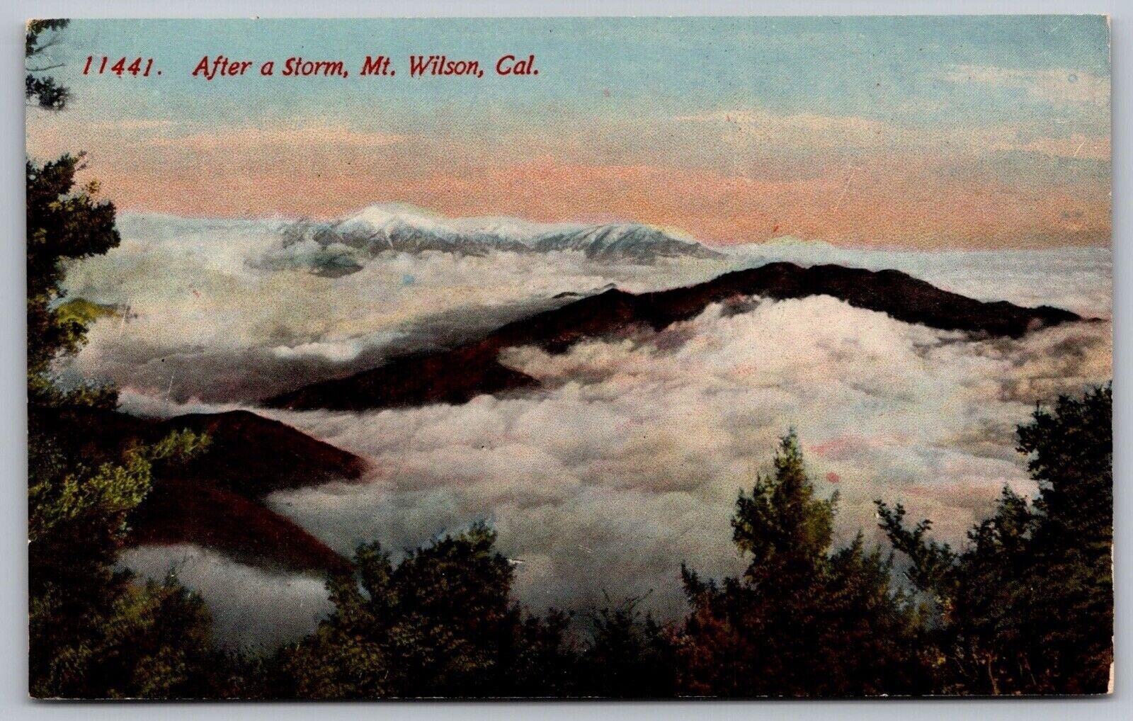 California Mount Wilson Storm Birds Eye View Mountains Forest Vintage Postcard