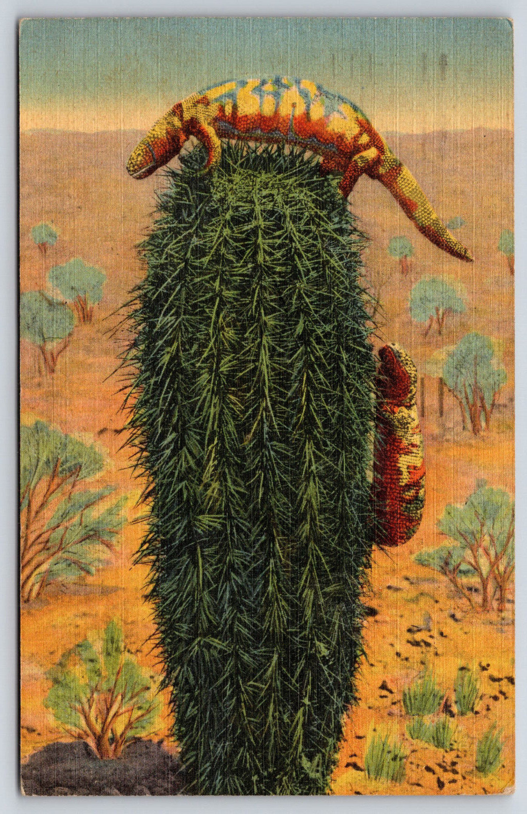 Original Vintage Antique Postcard Gila Monster Lizard Reptile Cactus New Mexico