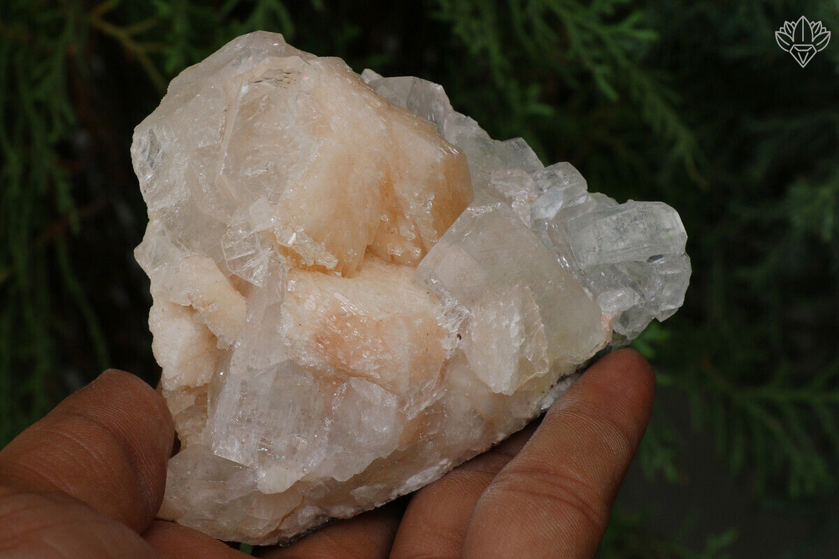 Stilbite Apophyllite 239 gm Natural Minerals Rough Specimen Meditation