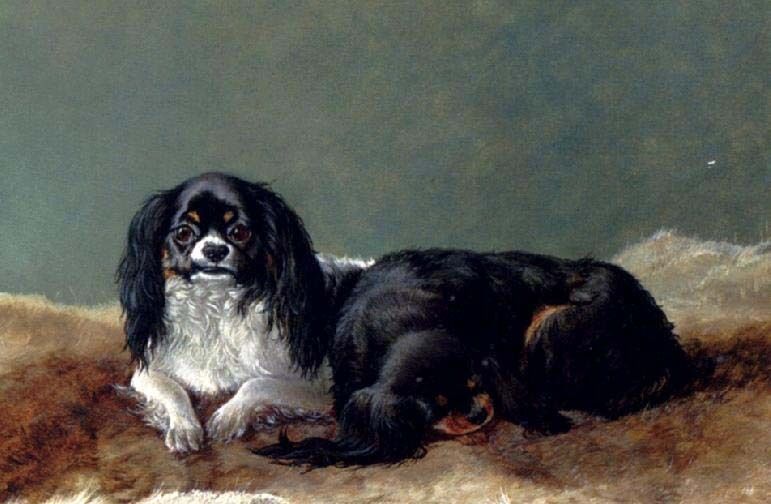 Art Oil painting dogs Two Kings Charles Spaniels  hand paint