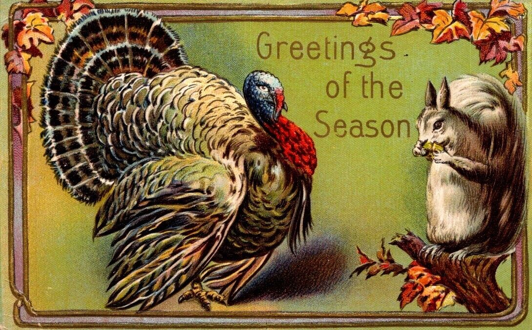 Bethlehem PA 1909 Greetings Season Thanksgiving Turkey Squirrel Vintage Postcard