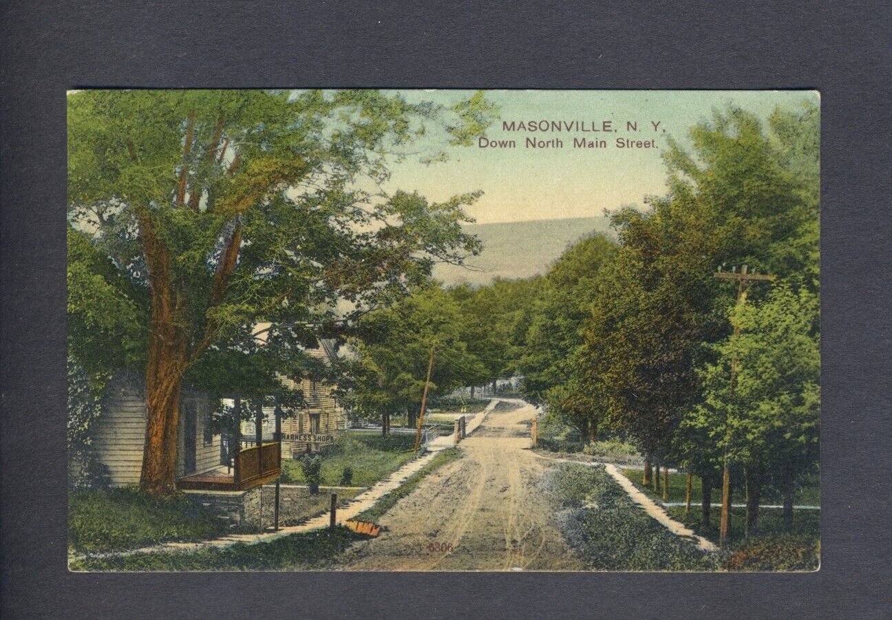North Main Street Masonville New York Antique Postcard