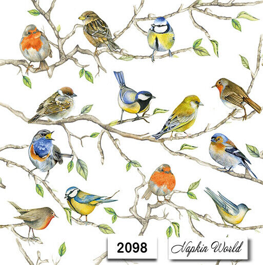 (2098) TWO Paper Luncheon Decoupage Art Craft Napkins - BIRDS on BRANCHES