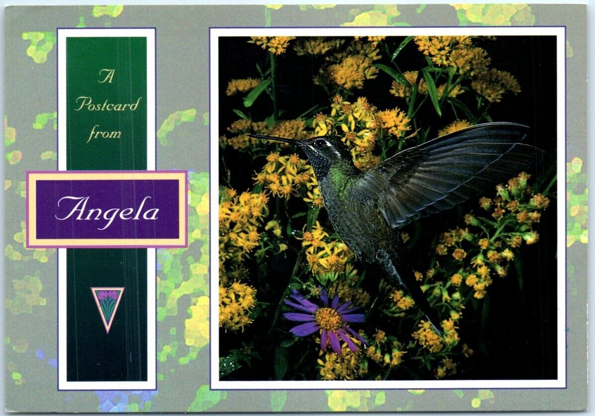 Postcard - A Postcard from Angela