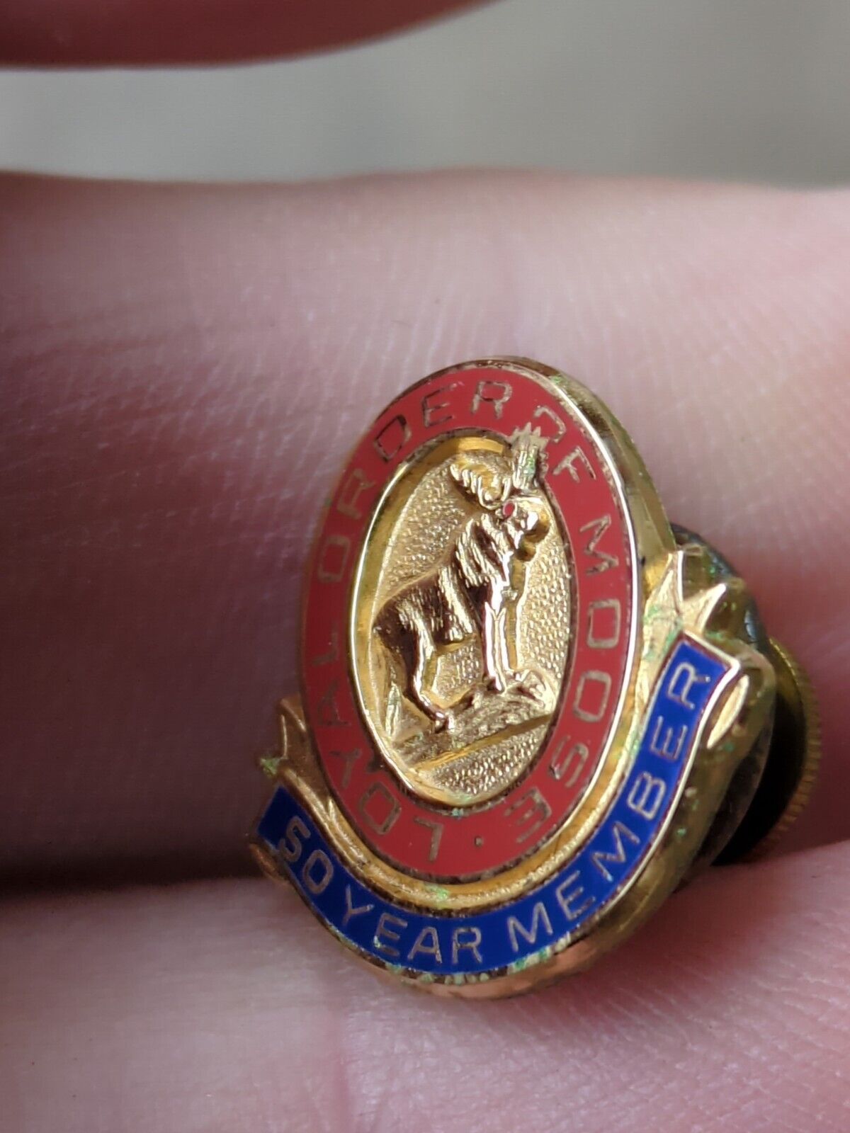 Vintage Loyal Order Of Moose Pin