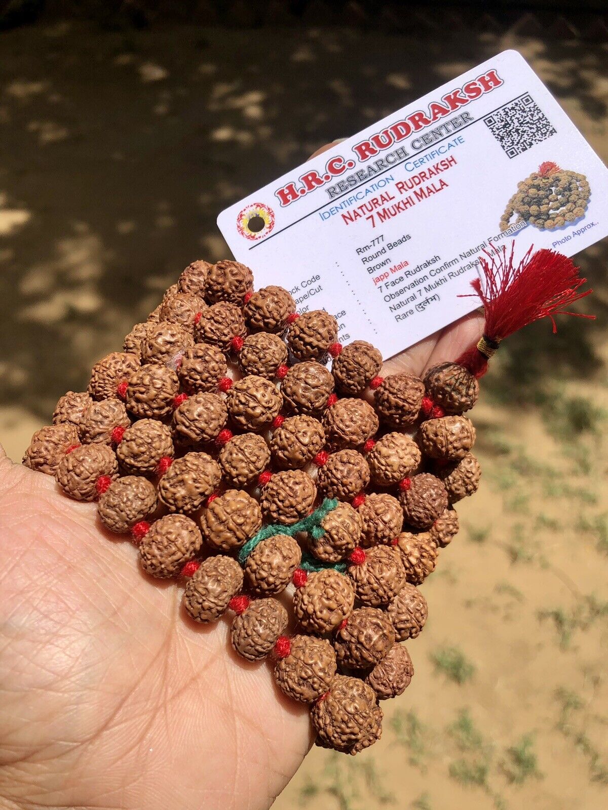 LAB CERTIFIED 7 Mukhi RUDRAKSHA Rudraksh Mala ROSARY 108+1 Bead Prayer Beads