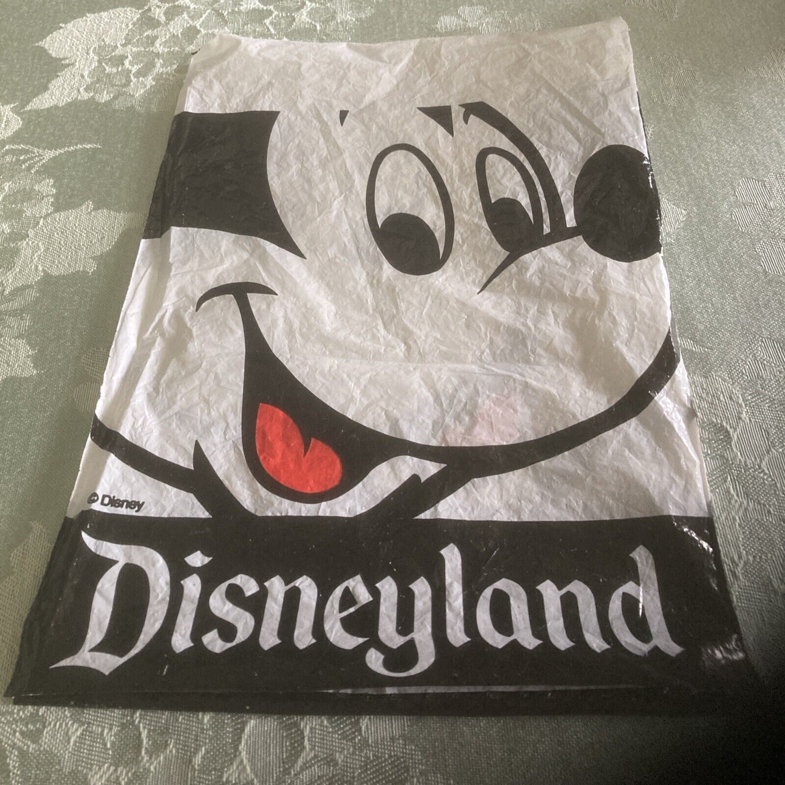 Vintage 90’s Disneyland Plastic Souvenir Bag Small 6x9 Mickey Mouse Rare