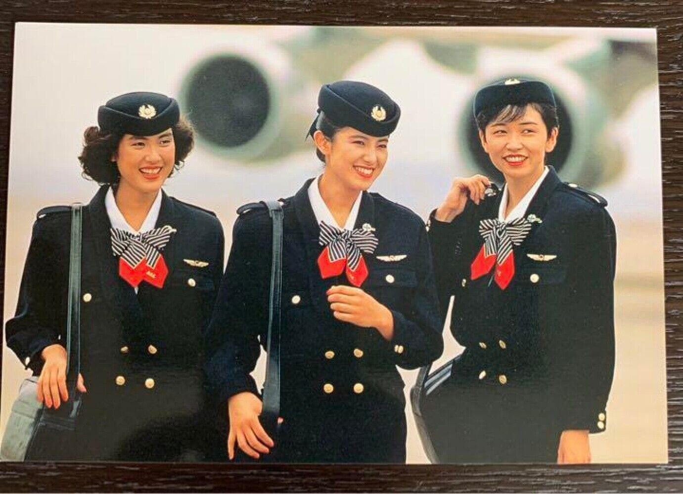 '90s JAL picture postcard 6 pieces (in-flight distribution) rare unused