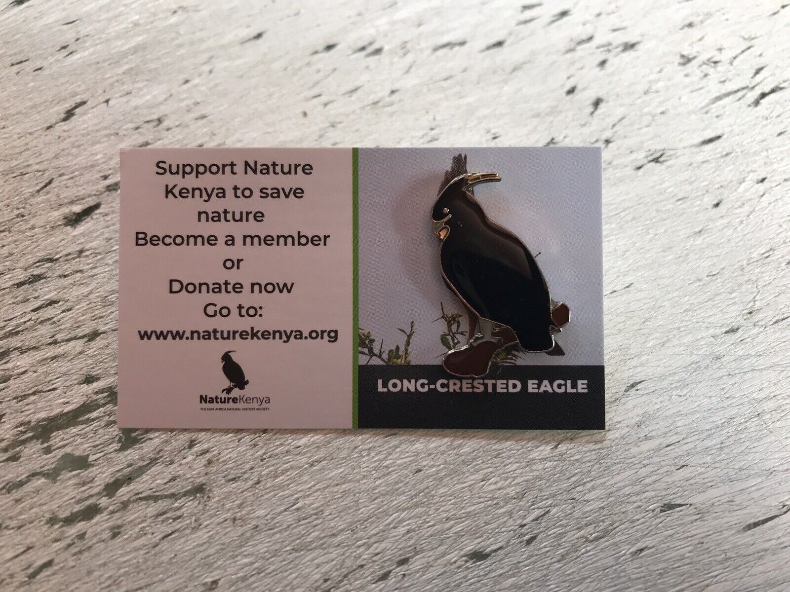 RSPB partner LONG CRESTED EAGLE Enamel Pin badge Bird Bird Of Prey Raptor