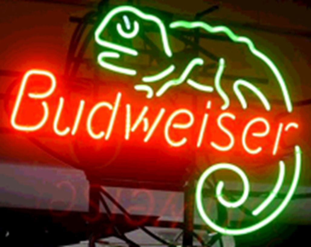 Lizard Beer Neon Light Sign Man Cave Lamp Artwork Beer Cave Gift Lamp 17\