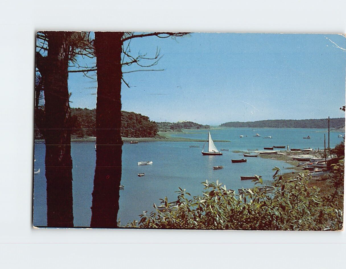 Postcard A Typical Cape Cod Harbor Massachusetts USA North America