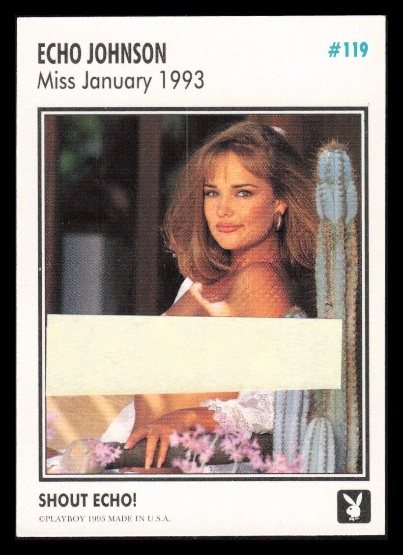 1993 Playboy Centerfold January 1993 Echo Johnson Trading Card #119