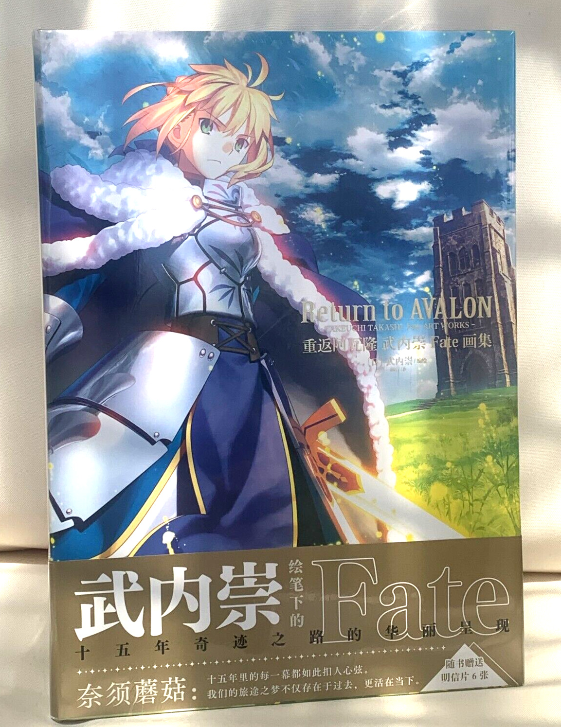Fate Stay Night Return to Avalon  Art Book Chinese 15 Ann Project USA SELLER