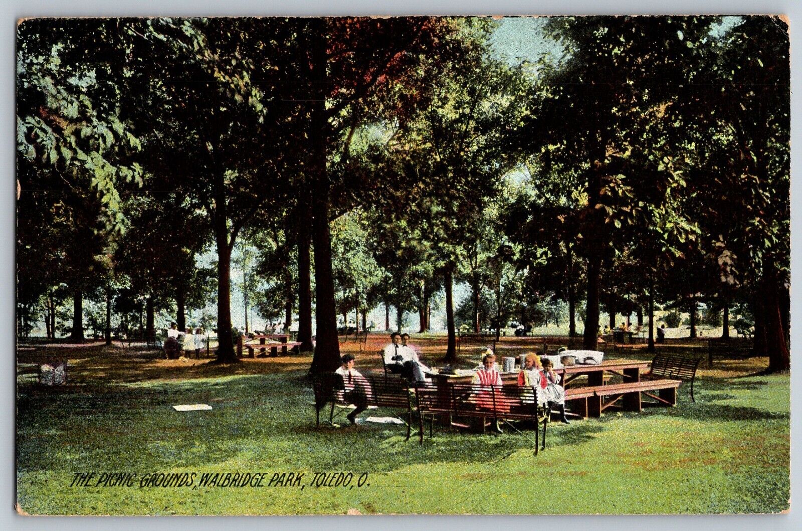 Toledo, Ohio OH - The Picnic Ground - Walbridge Park - Vintage Postcard - Posted