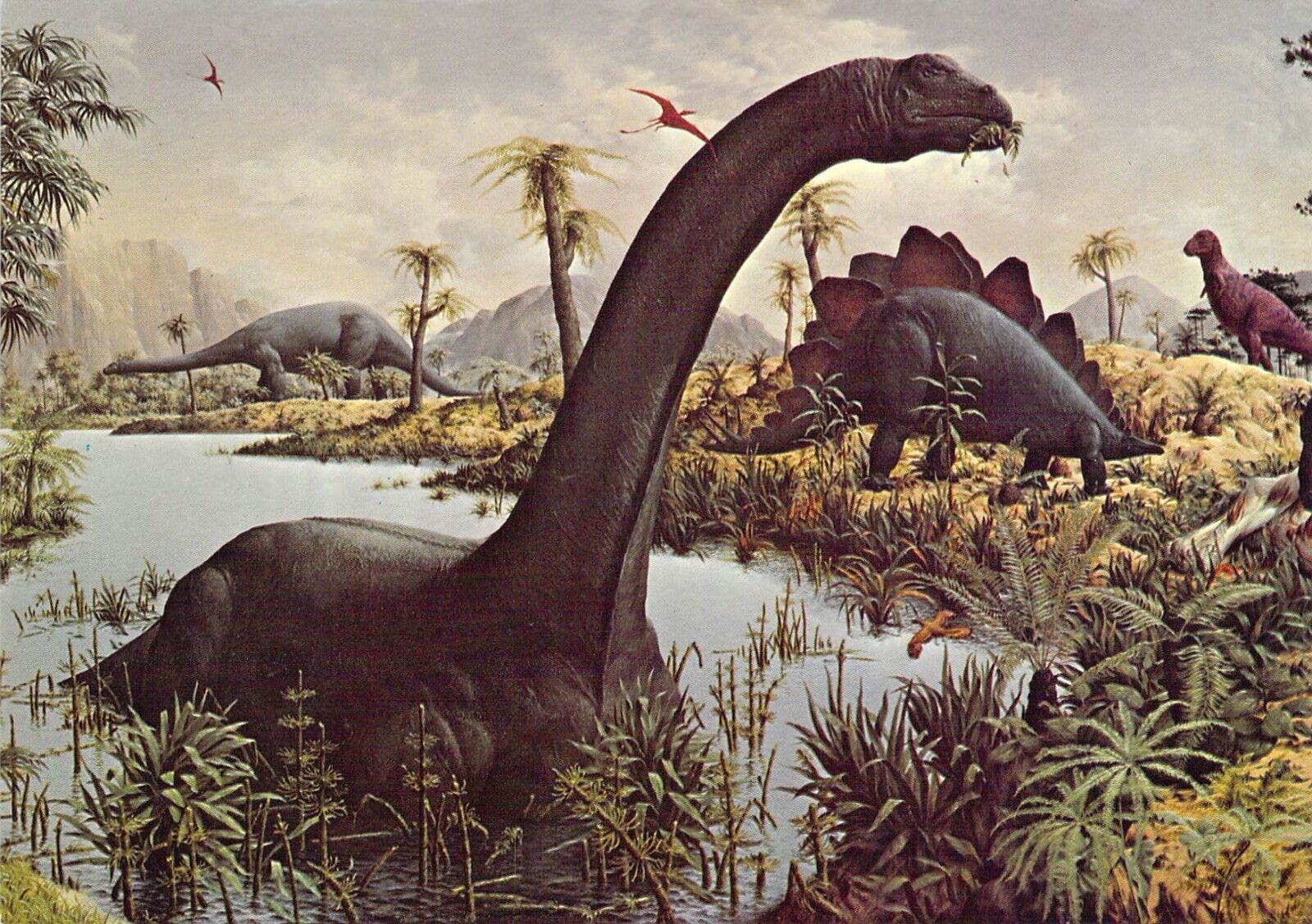 1977 Peabody #5  Museum Reptiles Mural 3 Dinosaurs 4x6 postcard L157