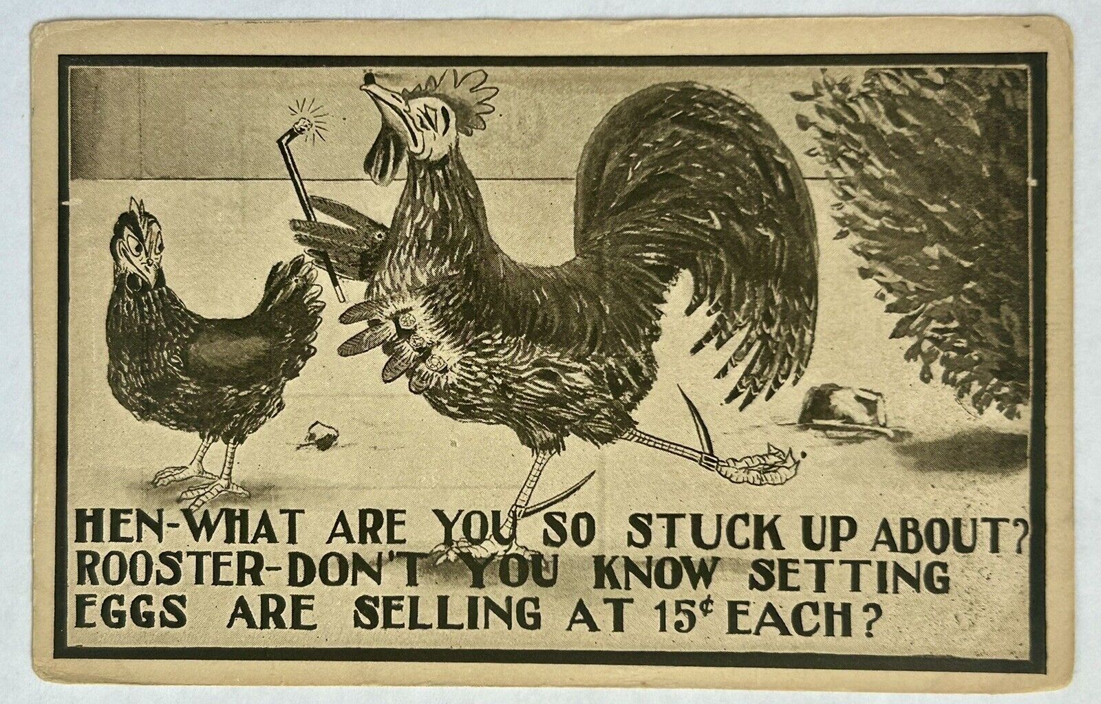 1910 Rooster Vintage Funny Postcard. Price Of Eggs. ￼
