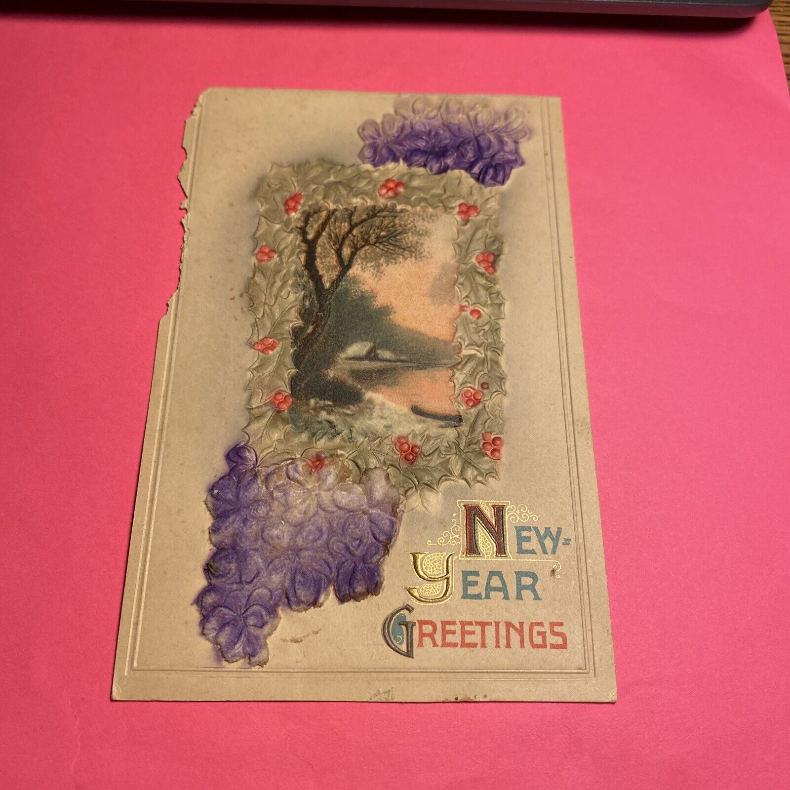 (1) Antique Portrait “New Year Greetings” Cottage Flowers Postcard 1919