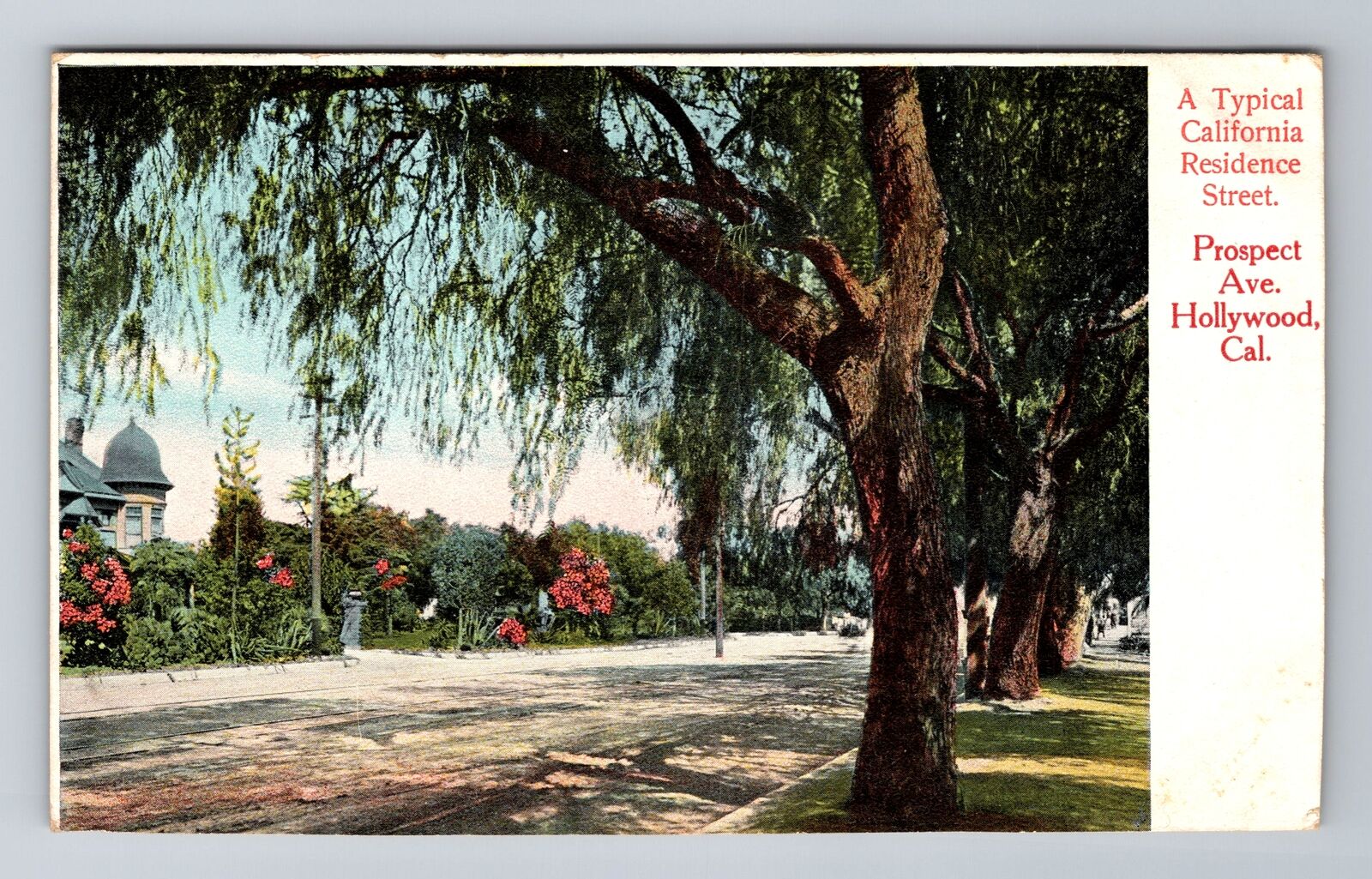 Hollywood CA-California, Prospect Avenue, Antique, Vintage Souvenir Postcard