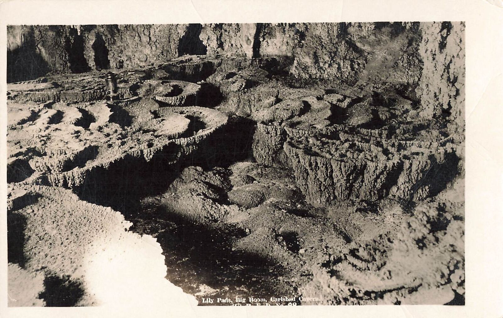 RPPC Carlsbad Cave National Monument, Lily Pads, Carlsbad New Mexico