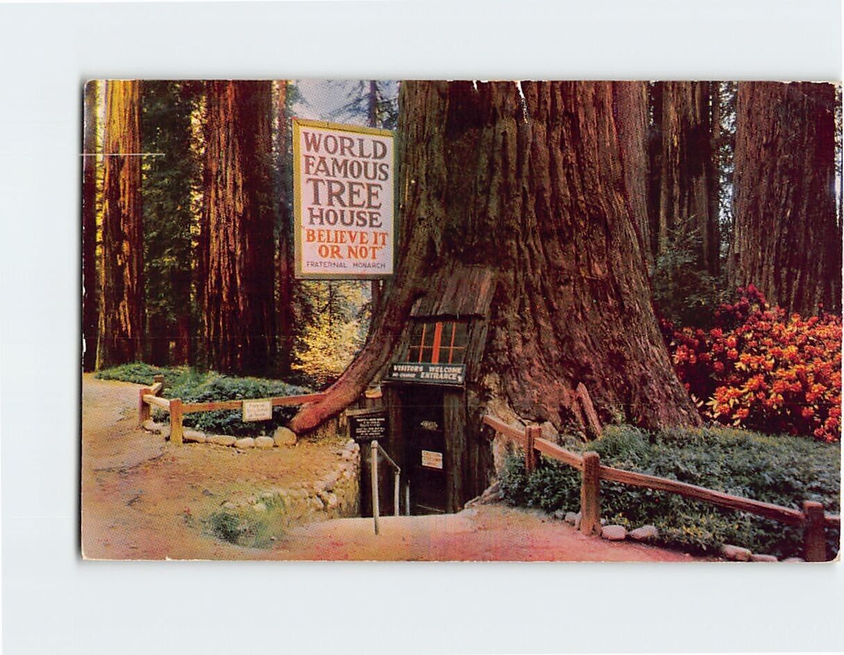 Postcard World Famous Tree House in Tree House Park Piercy California USA