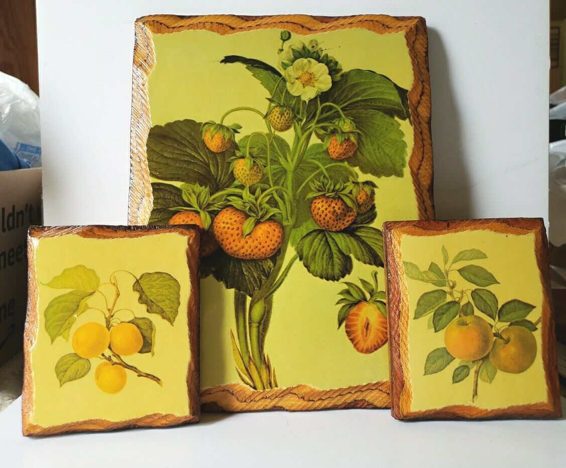 VTG MCM Set of 3 Scalloped  Edge Wood Plaque Decoupage Floral Fruit Wall Art 